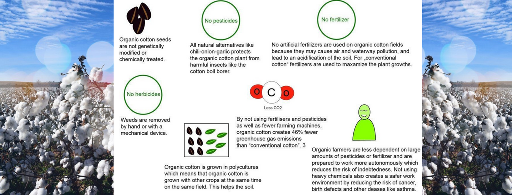What is the difference between organic and non-organic cotton?