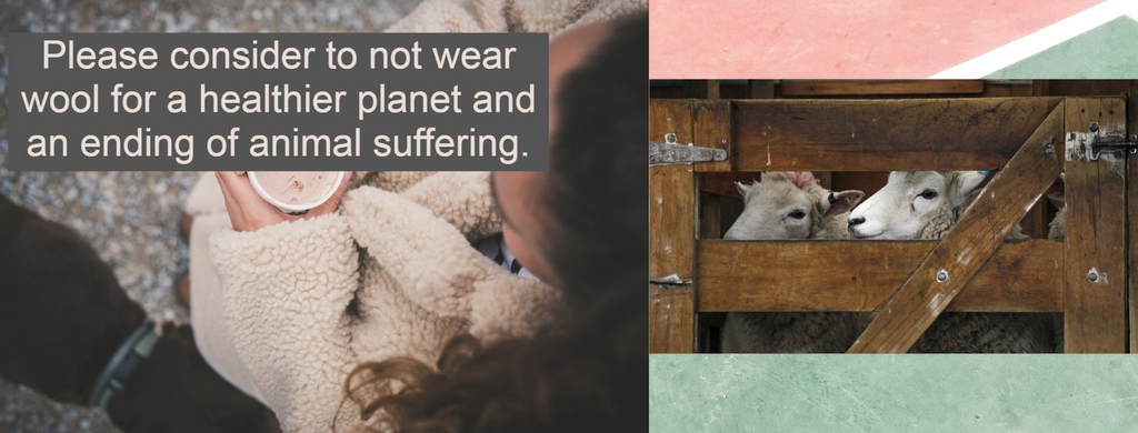 7 Facts about Wool