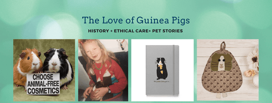Image with words 'The Love of Guinea Pigs' and four guinea pig related photos -  blog by Anke Wonder.
