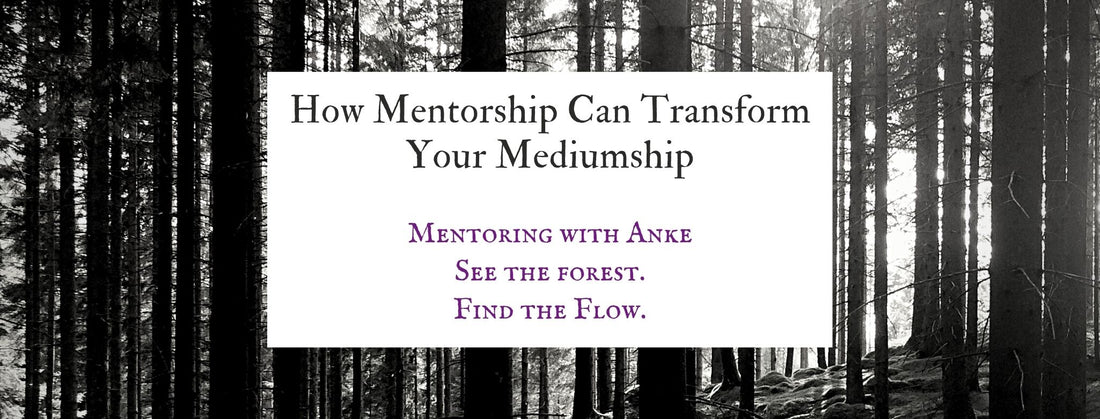 Black and white forest with the text 'How Mentoring can transform your Mediumship'.