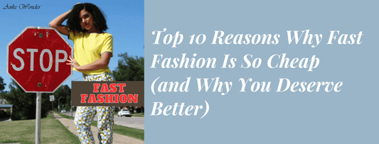 A model poses next to a red stop sign while the blog title "Top 10 Reasons Why Fast Fashion Is So Cheap (and Why You Deserve Better)" appears in white text on a blue background.