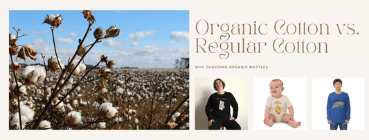 Photo Collage of Cotton Field and Clothes made from Cotton with the words Organic Cotton vs. Regular Cotton.