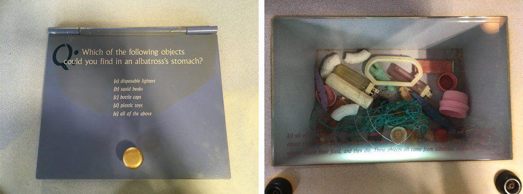 Serious consequences of our plastic waste for the planet - Anke Wonder