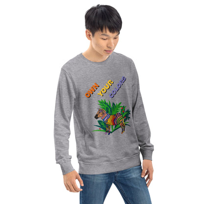 Man wearing a gray sweatshirt with colorful zevra graphics and text -Own your colors on a white background