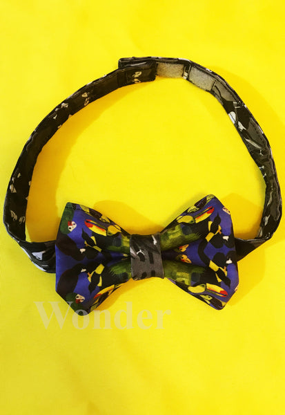 Men's Bow Tie "Bird Lovers - colorful" with gift box - Anke Wonder